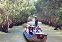 TRA SU MELALEUCA FOREST FULL DAY TOUR
